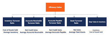 efficiency ratios overview uses in