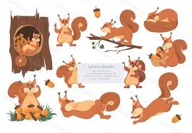 cute squirrel cartoon character set