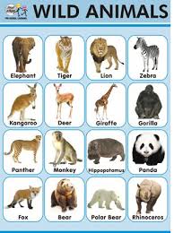 Easy Learning Animals Chart Wild Animals Names Howto