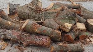 Many urban firewood users purchase processed wood because of its convenience, availability, and deliverability. St Louis Offering Free Firewood To City Residents Ksdk Com
