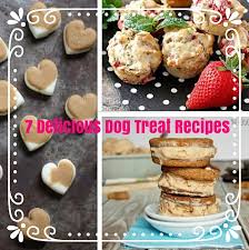 7 delicious dog treat recipes my pit