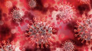 IHU: New coronavirus variant detected ...
