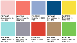 Why Does Pantone Exists Online Logo Makers Blog