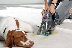 the best carpet cleaners for pets of