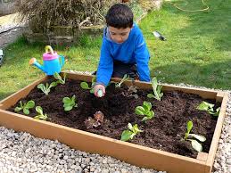 Recycled Plastic Raised Bed Raised