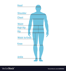 Man Size Chart Human Front Side Silhouette