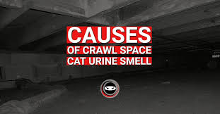 Causes Of Crawl Space Cat Urine Smell