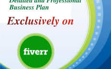 Business Plan Writers For Hire Online Fiverr