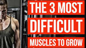 the 3 hardest muscles to grow muscle