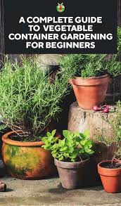 Guide To Vegetable Container Gardening
