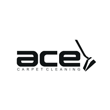 ace carpet cleaning and water