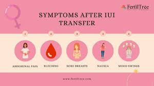 6 symptoms of iui pregnancy top iui
