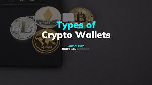 The two main categories of bitcoin wallets each contain a few more types of wallets. Types Of Crypto Wallets How To Choose The Best Monnos