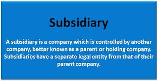 Subsidiary Company Examples Levels How Does It Work