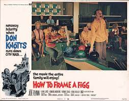 review how to frame a figg 1971