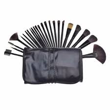 professional make up brush set