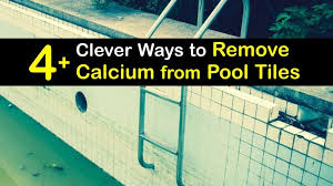 Using a glass eye dropper, suction some muriatic acid directly into the dropper and apply several drops directly into a filled pool. 4 Clever Ways To Remove Calcium Deposits From Swimming Pool Tiles