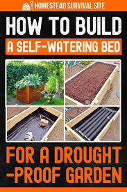Watering Raised Garden Beds