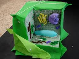 In fact, you can make an edible plant cell as well, using a cake as the base. Smart Idea Animal Cell Project Ideas 7th Grade