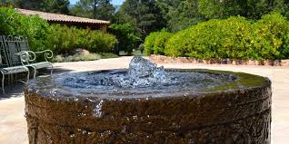 the pros and cons of water features