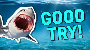 Nov 04, 2021 · try out these shark questions and answers to see if you know all the true shark facts and learn some more awesome shark facts there are to know! How Much Do You Remember About Sharks Shark Trivia Quiz