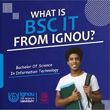bsc it from ignou ugc approved bsc it