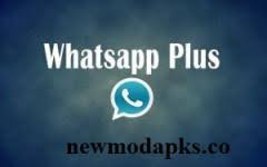 Send videos up to 700 mbs. Whatsapp Business Plus Mod Apk New Download Latest Version Free New Download Peatix