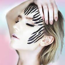 zebra stripes makeup stencil stencil 1