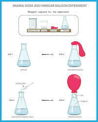 baking soda and vinegar balloon science