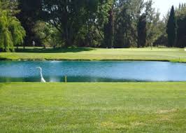 3 best golf courses in sunnyvale ca