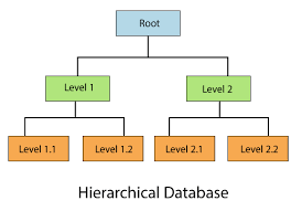 dbms types of databases javatpoint