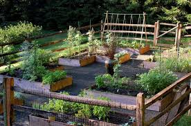 raised bed vegetable garden ideas