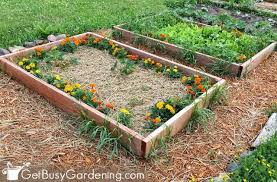 Growing Vegetables The Ultimate Veggie