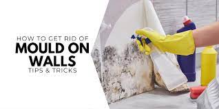Get Rid Of Mold On Walls Tips Tricks