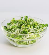 benefits of alfalfa for skin