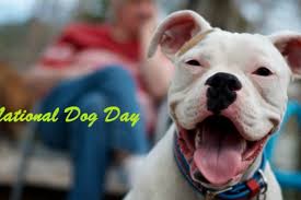 10 quotes, cute photos celebrating man's best friend. National Dog Day Wishes 2021 The Star Info