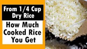 4 cup dry rice