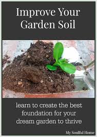 Best Easiest Way To Improve Soil