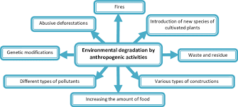 sources of environmental degradation by