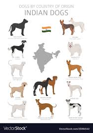 dogs country origin indian dog breeds