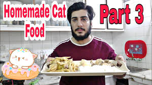 homemade cat food persian cat food