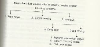 Poultry Housing Systems Types Of Poultry House The Poultry