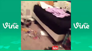 #a potato flew around my room. A Potato Flew Around My Room Before You Came Vine Compilation Dailymotion Video