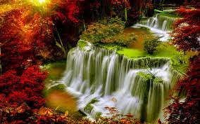 Cascade Falls-Autumn-forest-red leaves ...