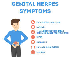 herpes ual health
