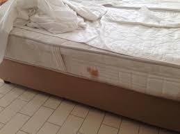 dry blood stain on mattress side