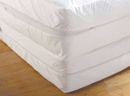 bug basics 9 mattress encasement