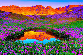 colorful nature landscape hd wallpaper