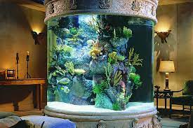 Amazing aquariums only millionaires can afford | loveproperty.com gambar png