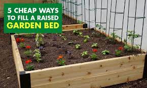 Raised Garden Bed
